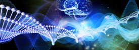 Proyecto Ciencia en Familia
