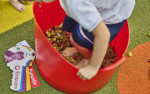 Educación Infantil