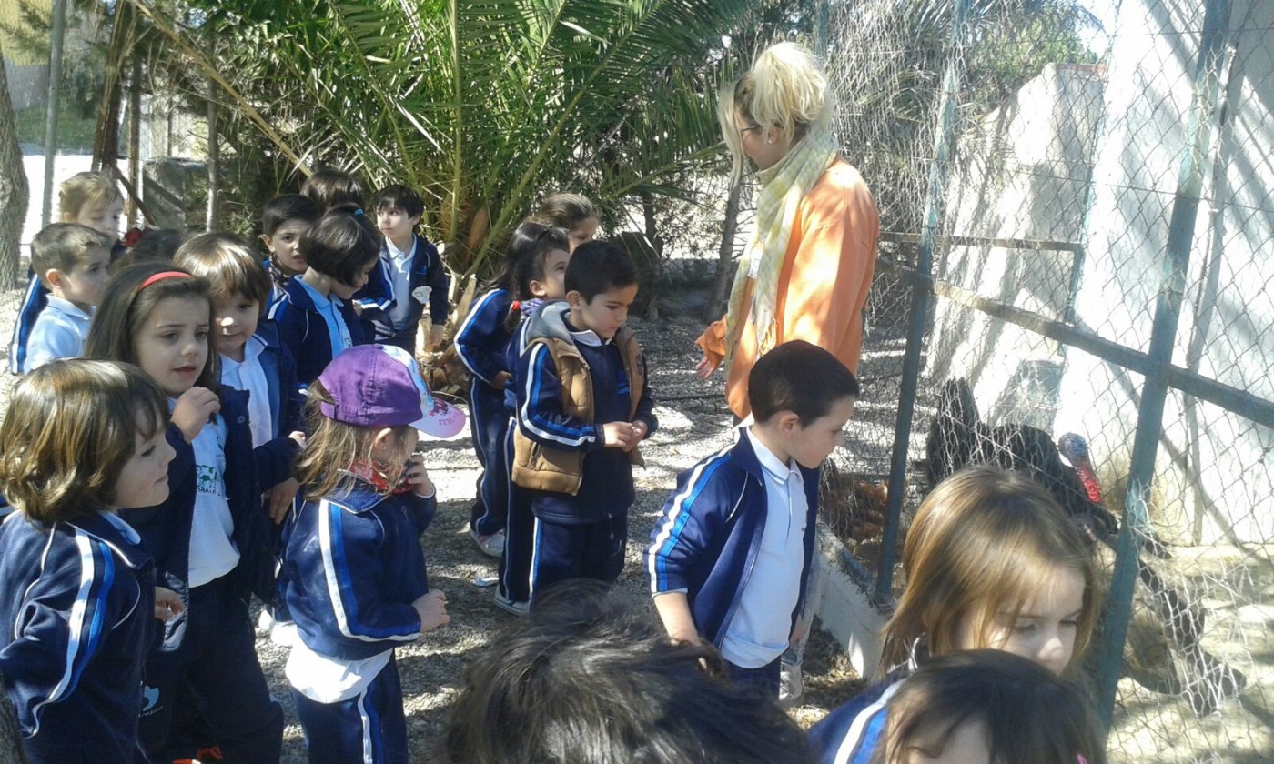 Excursión a Los Limoneros de los alumnos de 4 años de Infantil