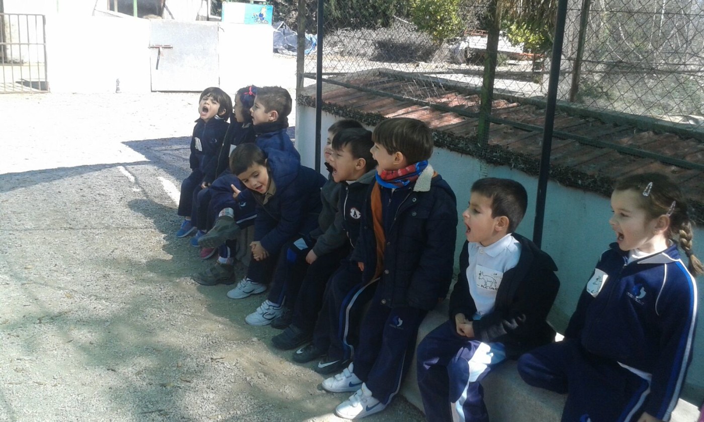 Excursión a Los Limoneros de los alumnos de 4 años de Infantil