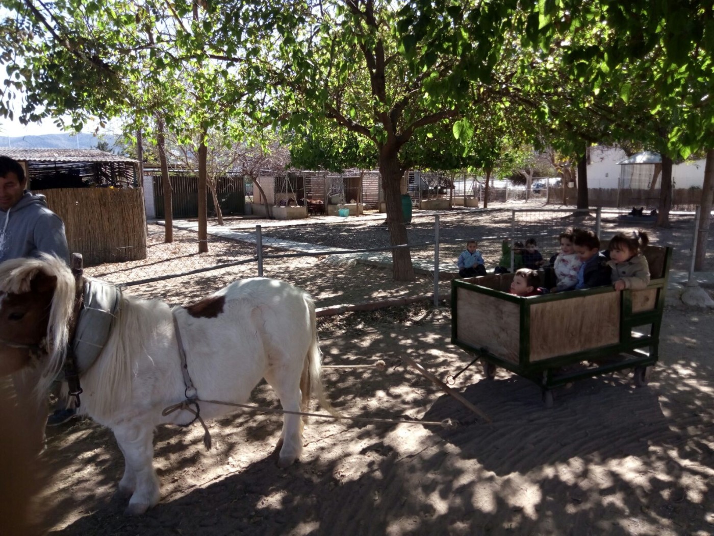 Excursión de Educación Infantil a la granja "Planeta Balú"