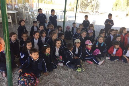 Excursión a Los Limoneros de los alumnos de 4 años de Infantil