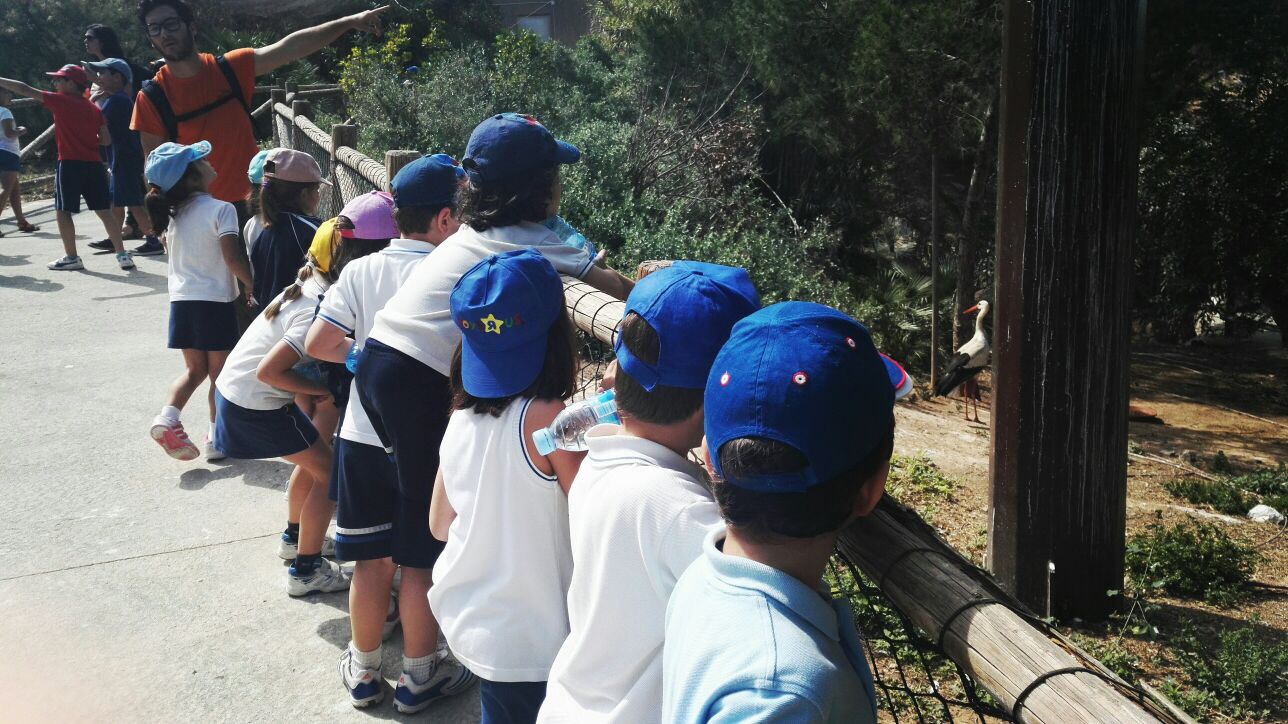 Educación Infantil visita Terra Natura en Espinardo