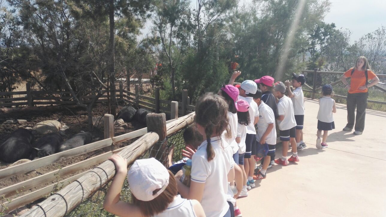 Educación Infantil visita Terra Natura en Espinardo