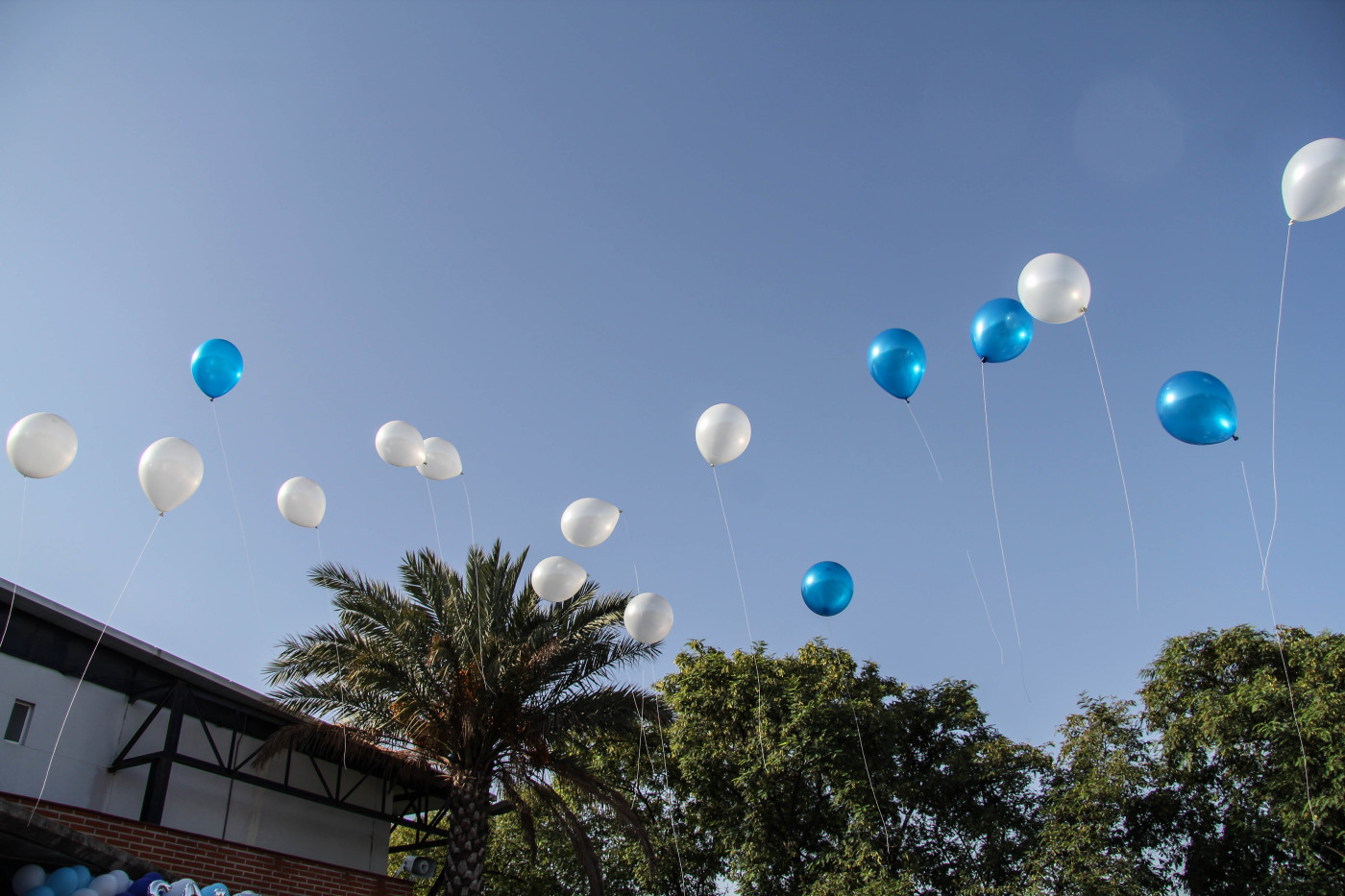 El Colegio celebra su cuadragésimo aniversario