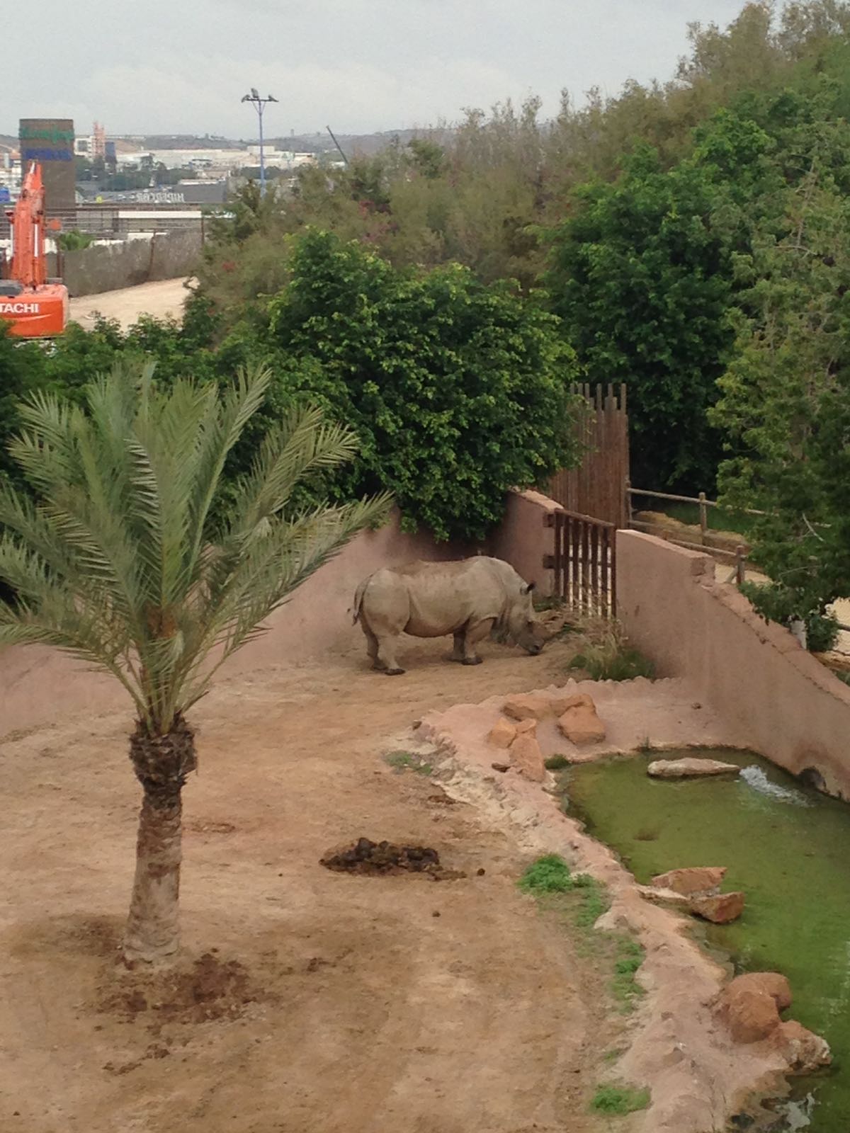 Excursión de Infantil al zoológico Terra Natura