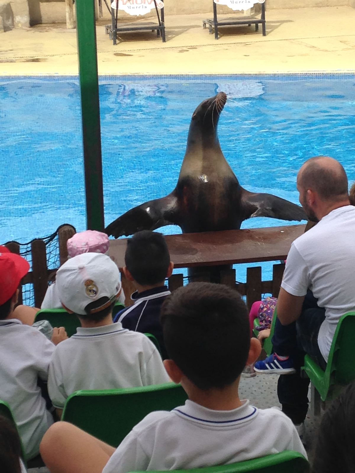 Excursión de Infantil al zoológico Terra Natura