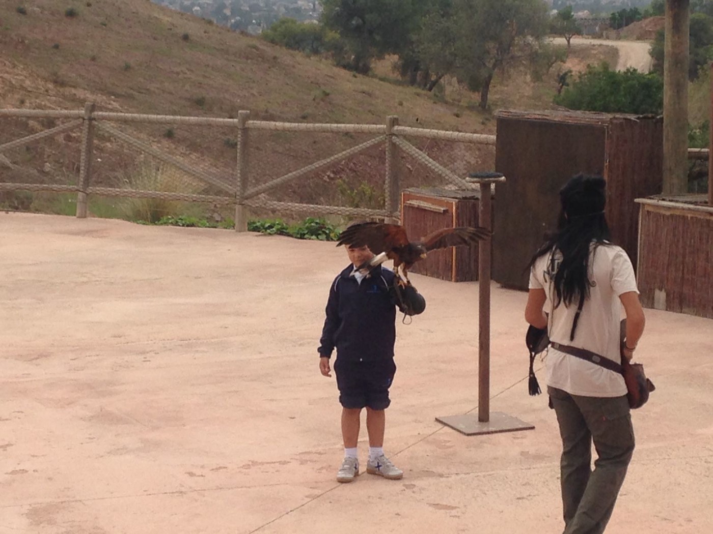 Excursión de Infantil al zoológico Terra Natura