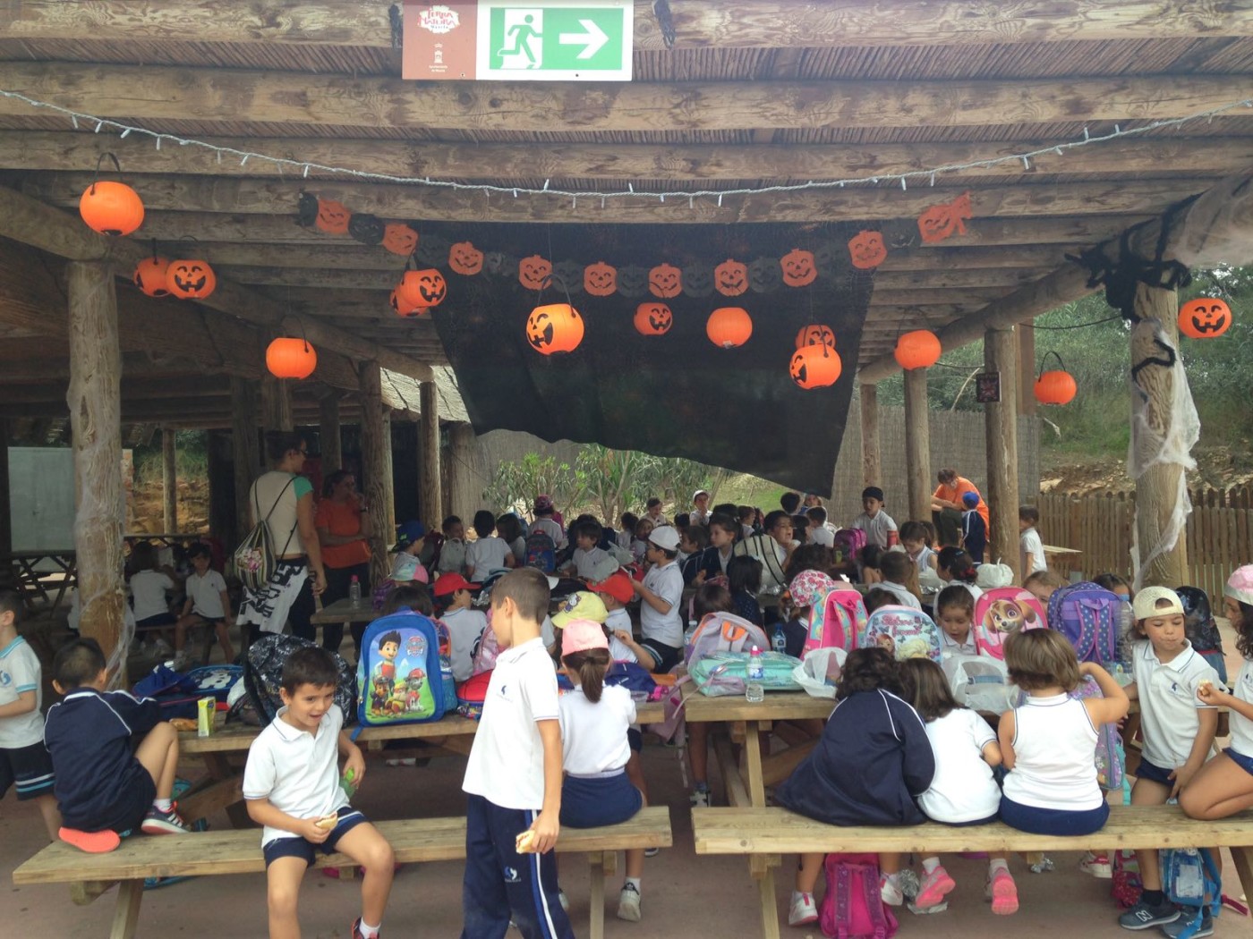 Excursión de Infantil al zoológico Terra Natura