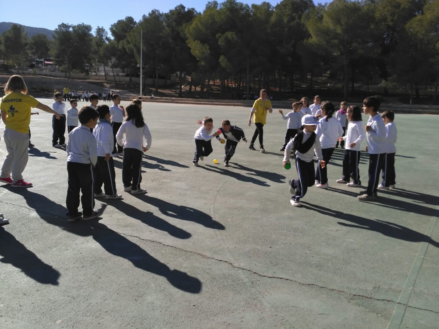 Primer y segundo curso de Primaria de excursión en El Valle