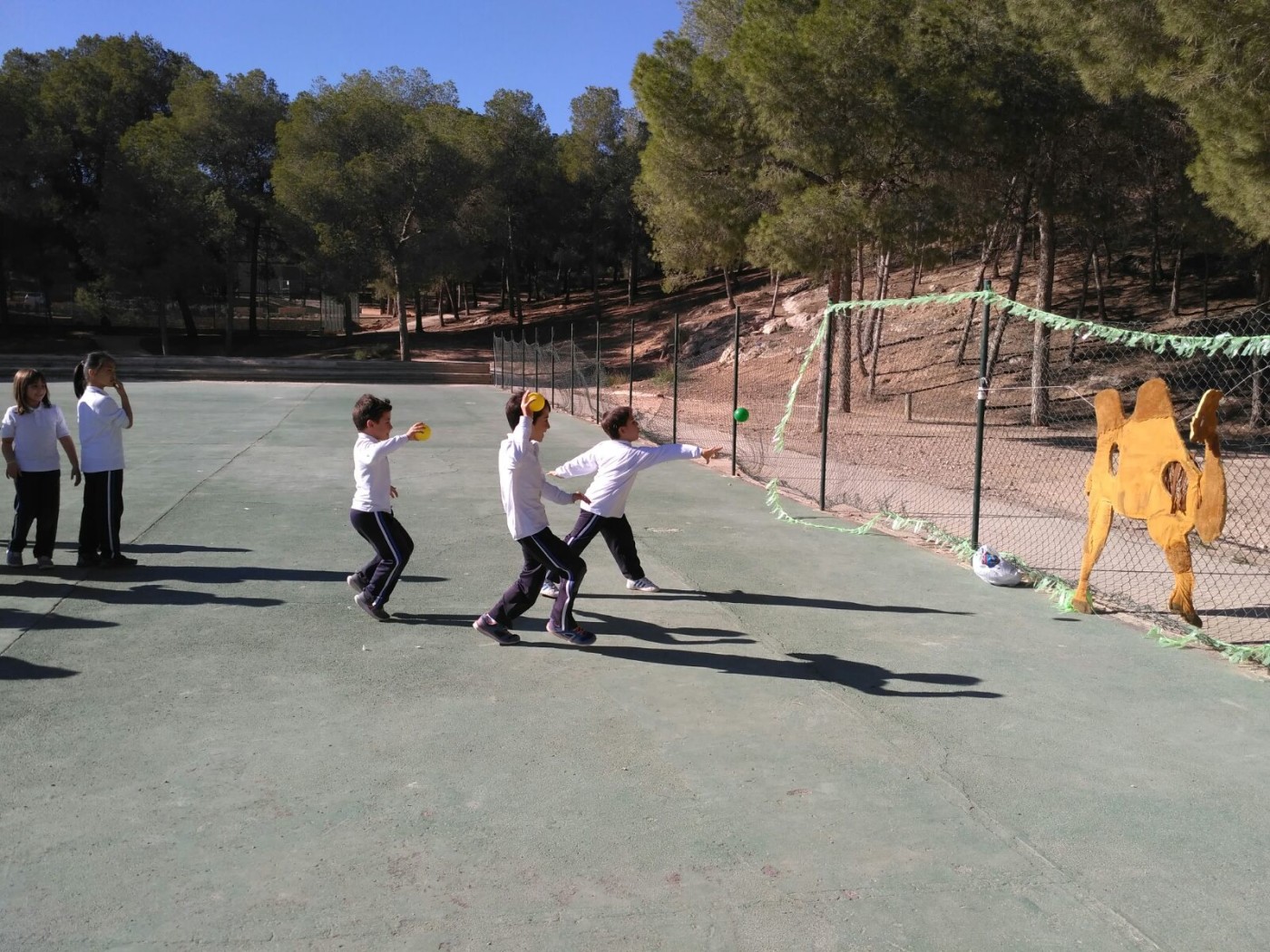 Primer y segundo curso de Primaria de excursión en El Valle