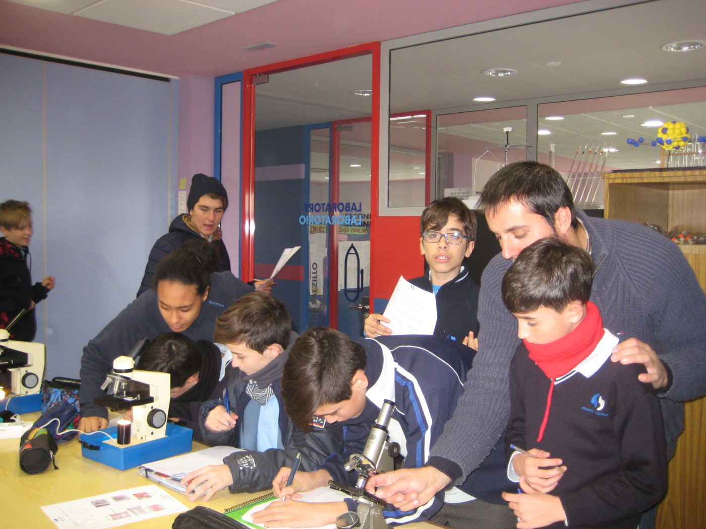 Prácticas de laboratorio en Biología de 1.º de ESO