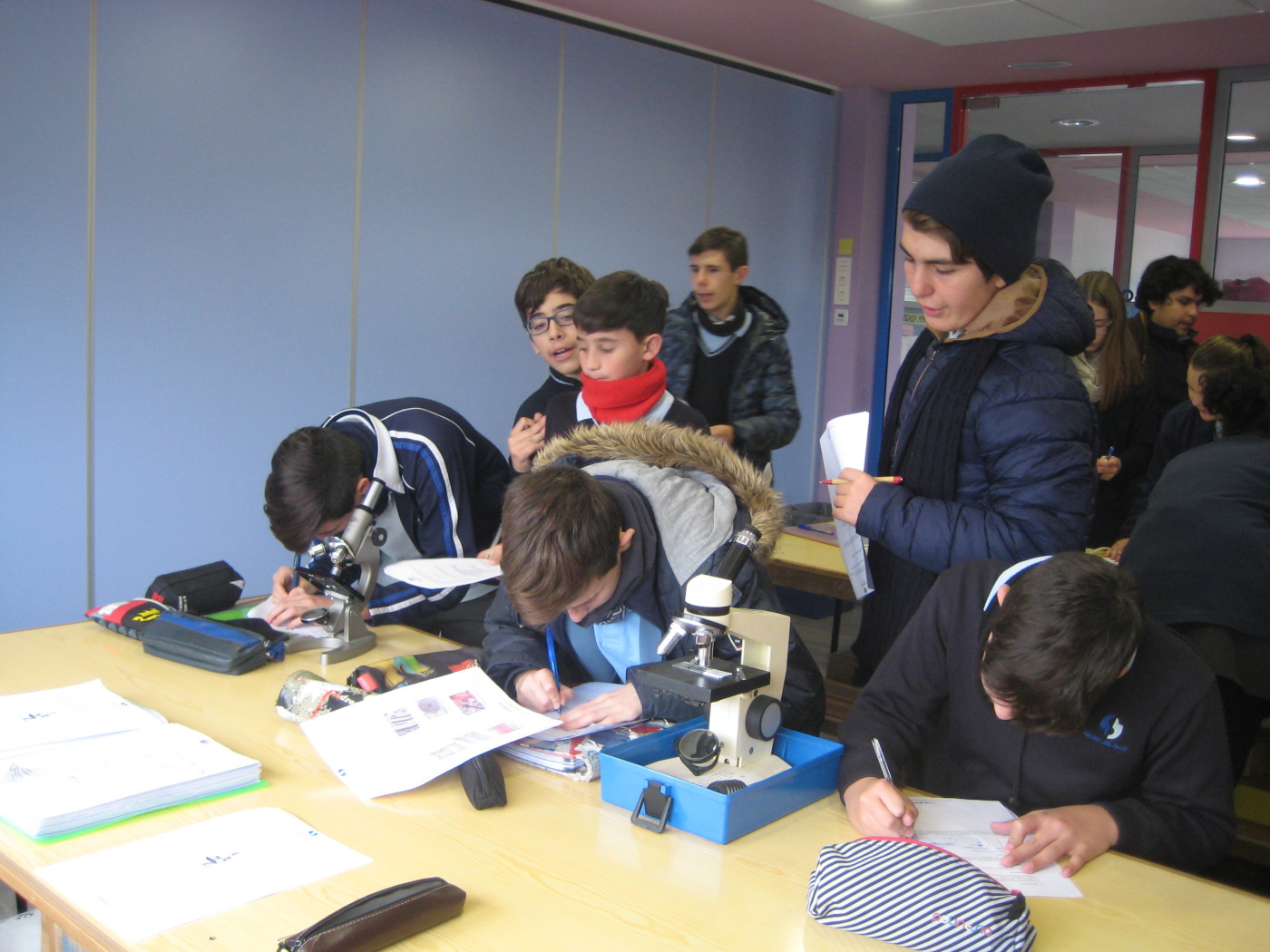 Prácticas de laboratorio en Biología de 1.º de ESO