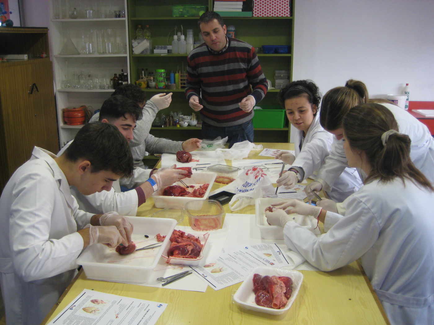 Práctica de Biología con los alumnos de 1.º de Bachillerato