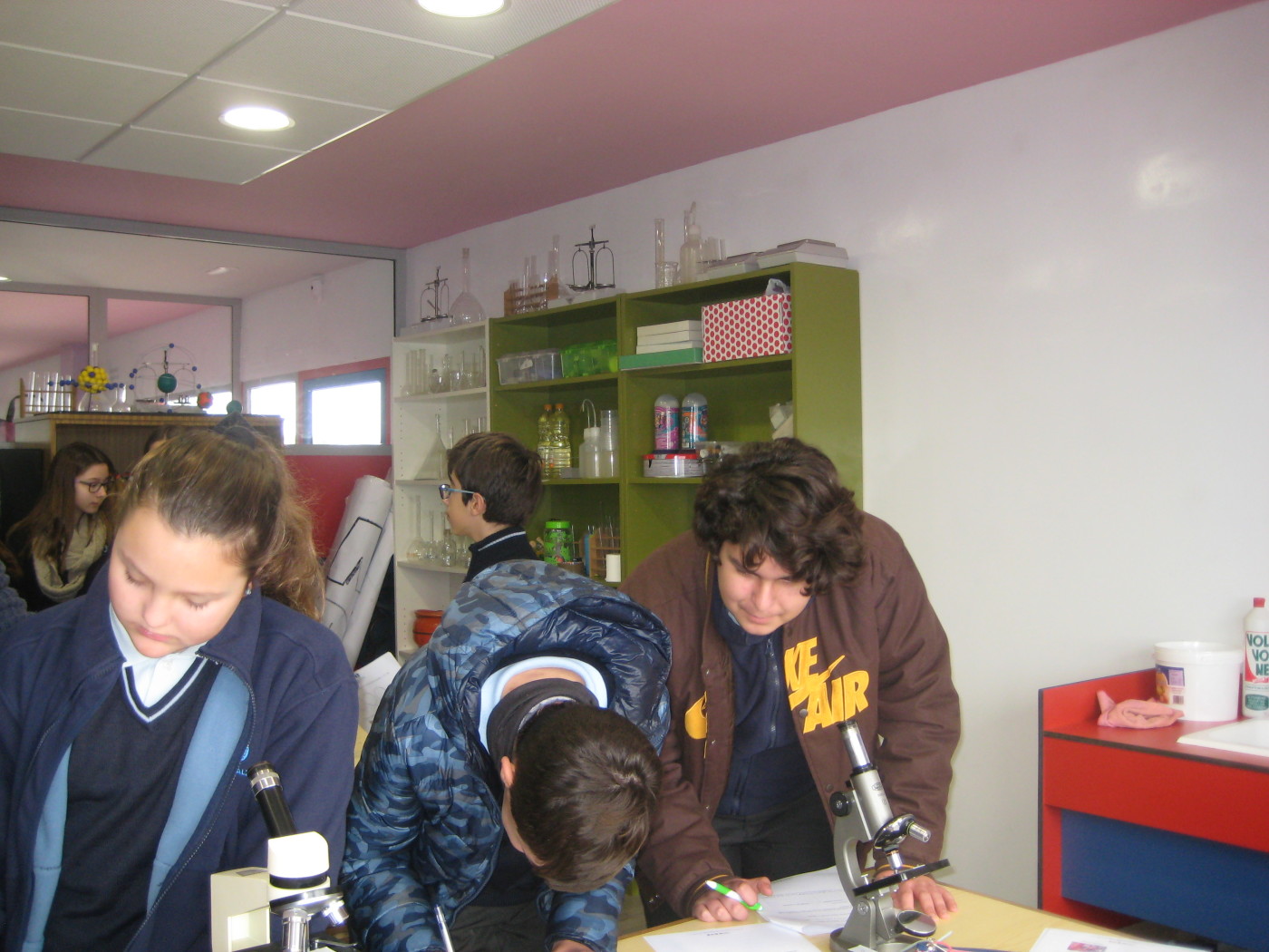 Prácticas de laboratorio en Biología de 1.º de ESO