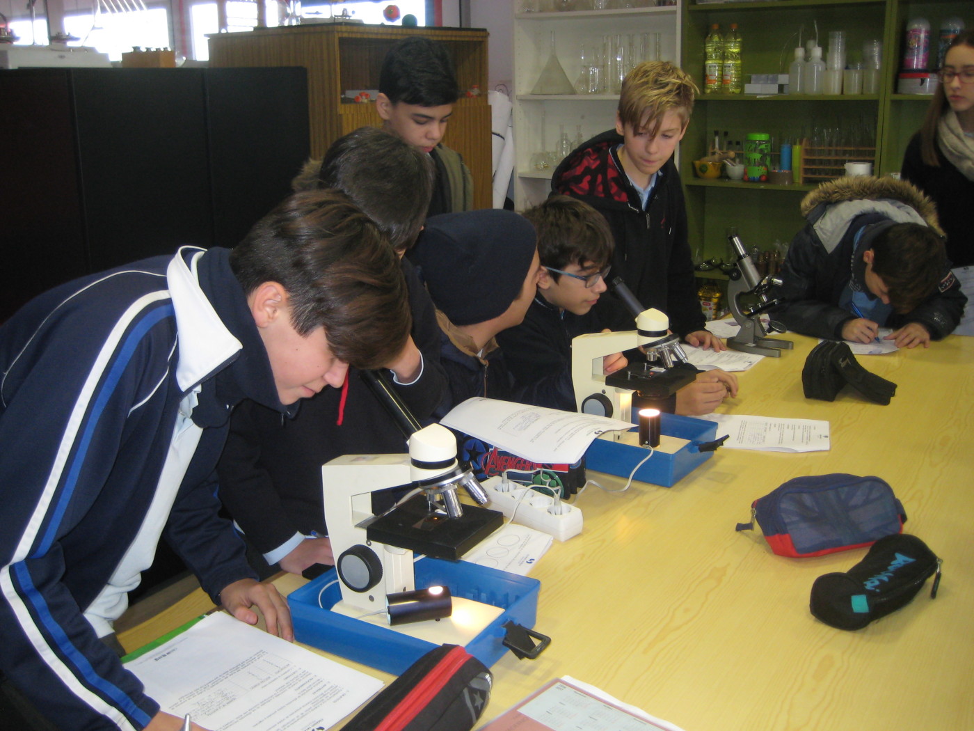 Prácticas de laboratorio en Biología de 1.º de ESO