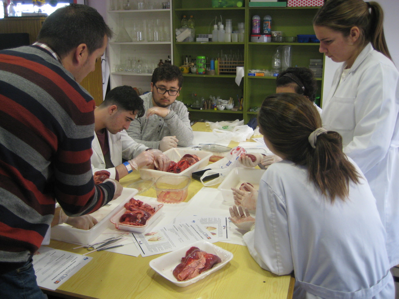 Práctica de Biología con los alumnos de 1.º de Bachillerato
