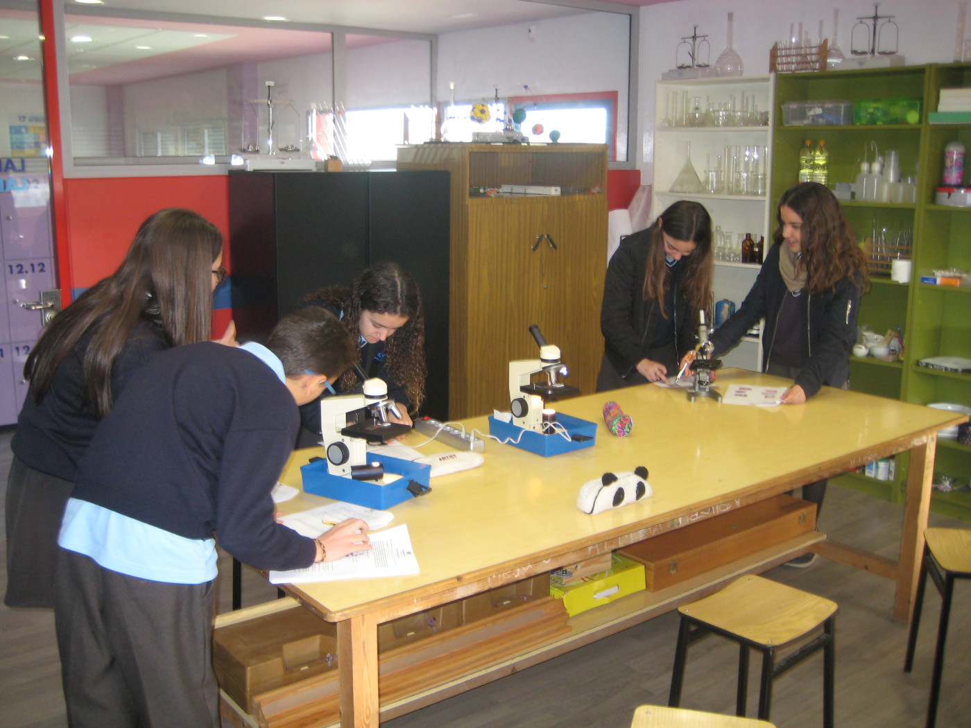 Prácticas de laboratorio en Biología de 1.º de ESO