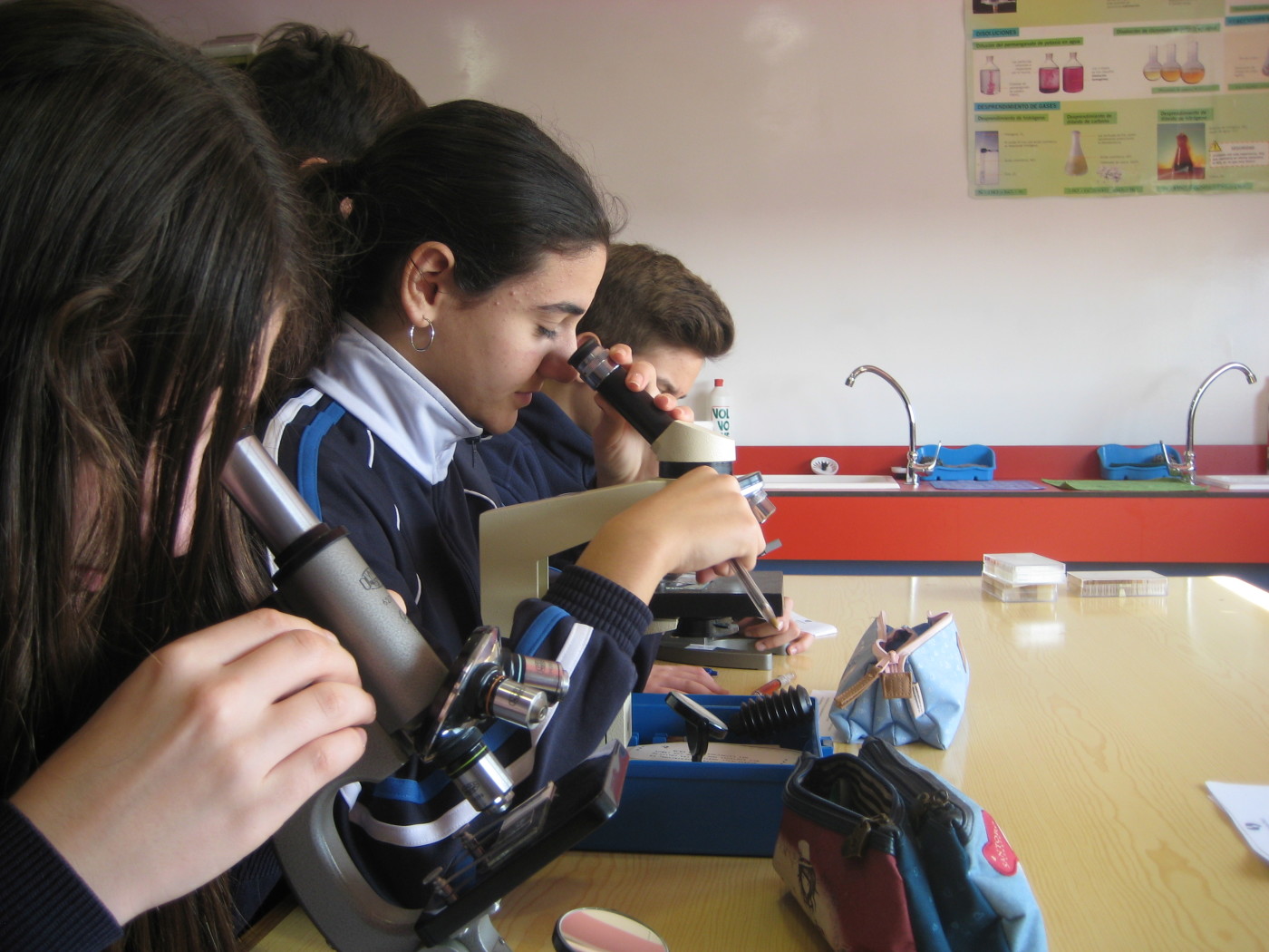 Prácticas de laboratorio en Biología de 1.º de ESO