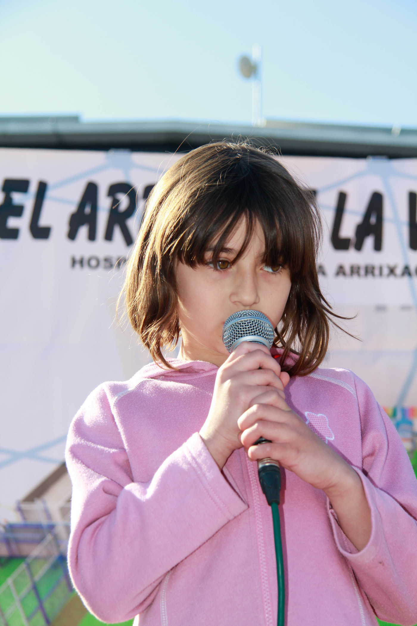 Fiestas del Colegio en su 40 aniversario