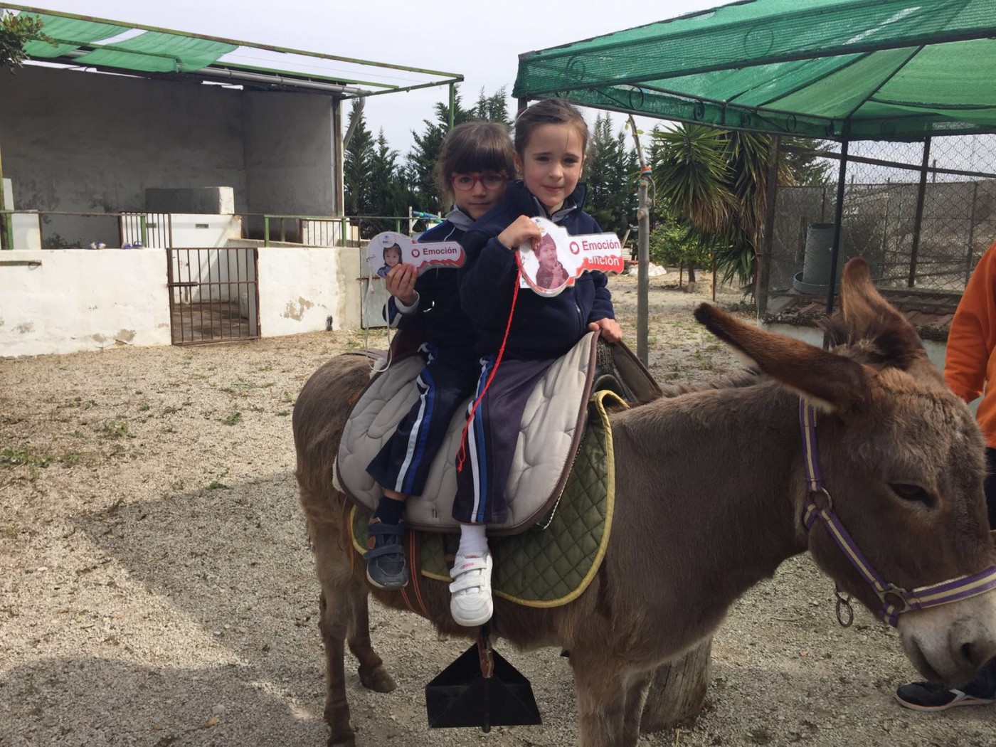 Excursión de 2.º de Infantil a la granja Los Limoneros