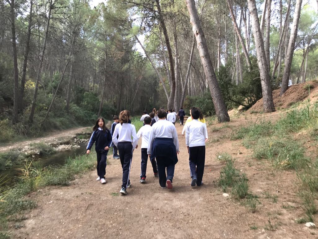 Excursión a La Puerta de Moratalla de 5.º y 6.º de Primaria