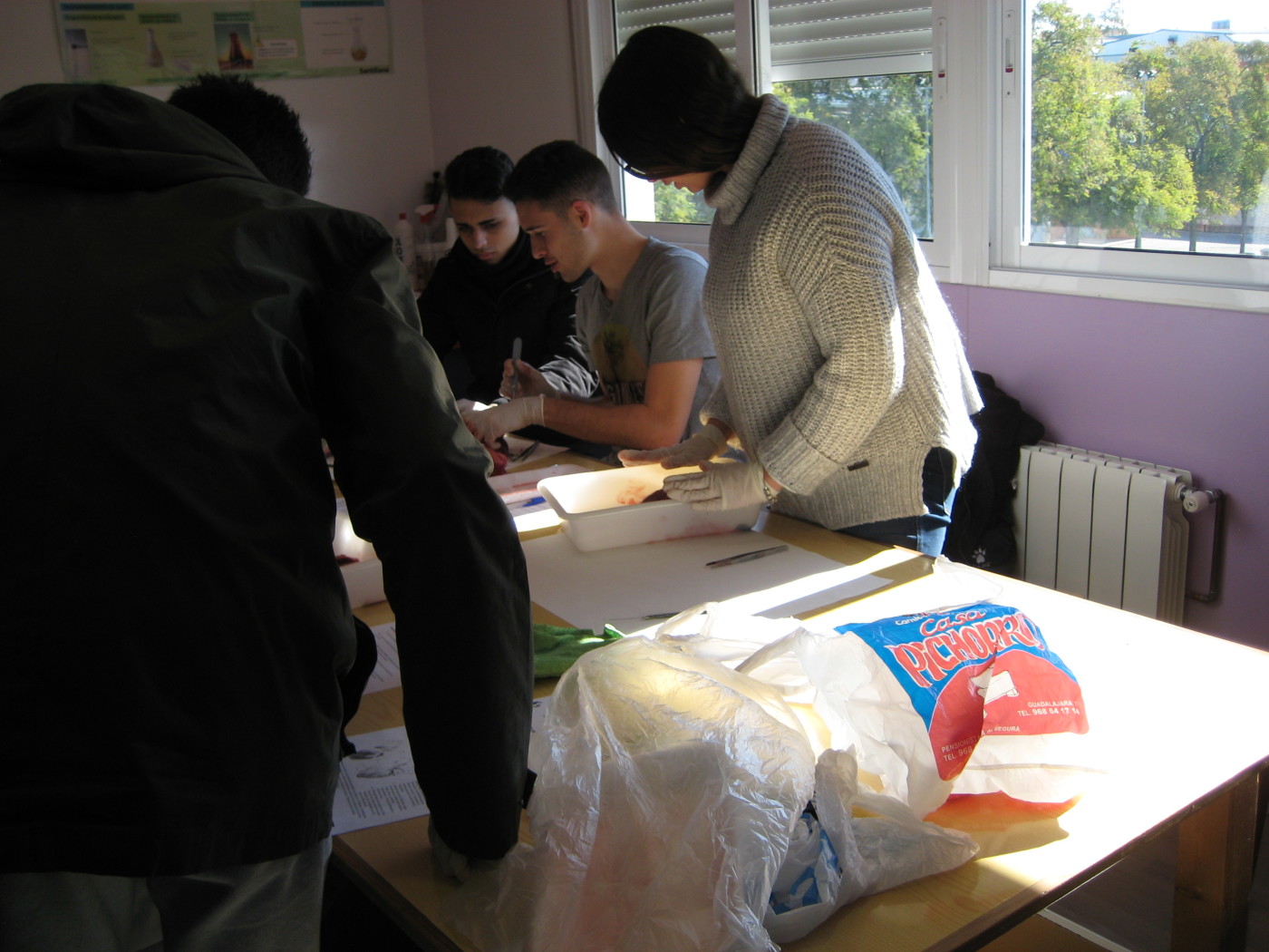 Prácticas de Biología con alumnos de bachillerato