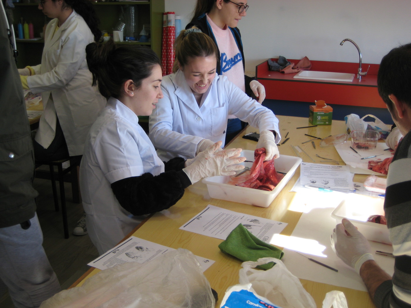 Prácticas de Biología con alumnos de bachillerato