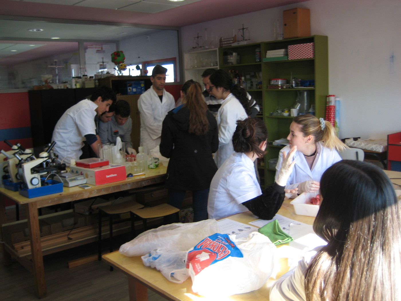 Prácticas de Biología con alumnos de bachillerato