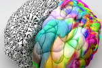 Cátedra de Neuroeducación UB-Edu1st