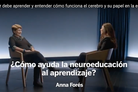 Cómo funciona el cerebro y su papel en la Educación.