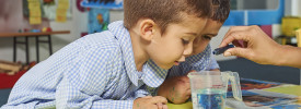Educación Infantil 2 años
