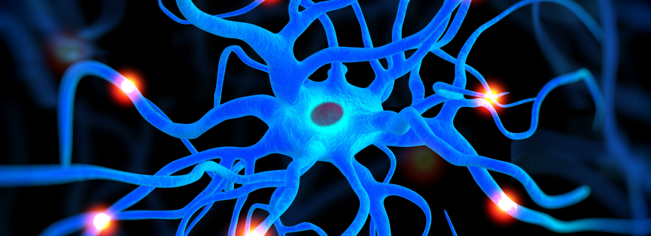 Centro Salzillo UNER: Atención Integral y Neurodesarrollo