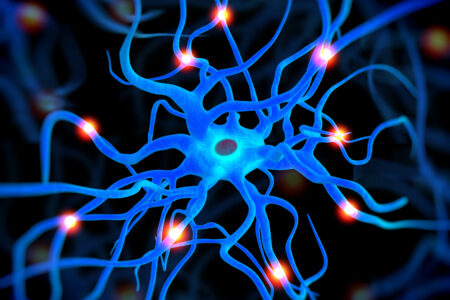 Centro Salzillo UNER: Atención Integral y Neurodesarrollo